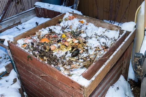 Composting in Winter: The Best How-To Guide – Yuzu Magazine