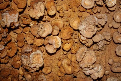 File:Button cave popcorn.jpg - Wikimedia Commons