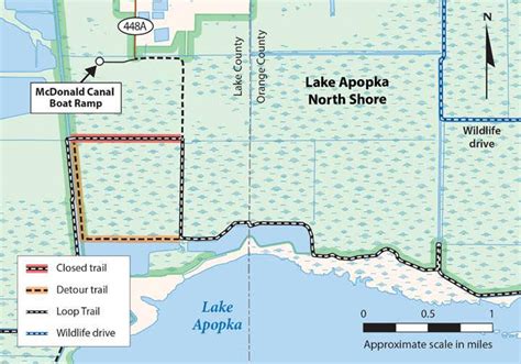 Expect weekday construction detours on Lake Apopka Loop Trail