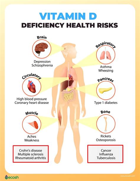 What Causes Vitamin D Deficiency In Dogs