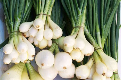 What Is a Bunch of Green Onions - Recipes.net