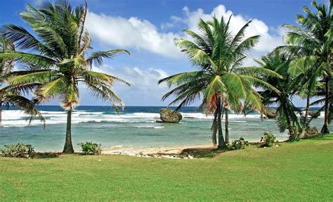 Day Pass to Bath Beach | Barbados Shore Excursion | Caribbean Cruise Tour