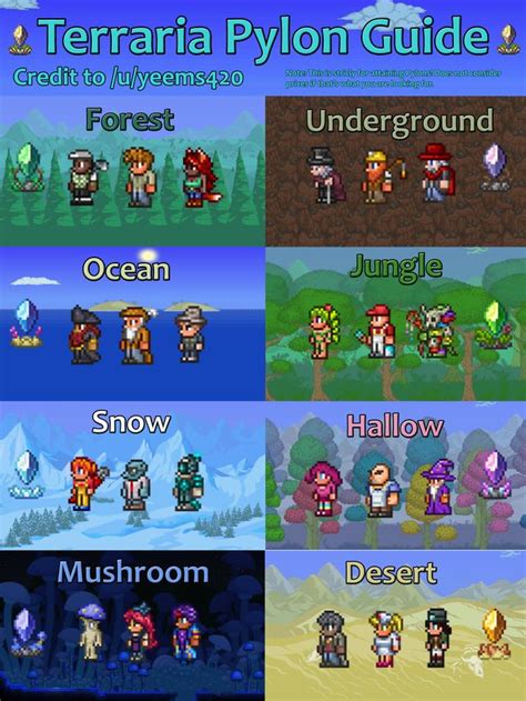 Easy-to-Follow Terraria Pylon Guide: Terraria | Terrarium, Terrarium base, Terraria memes