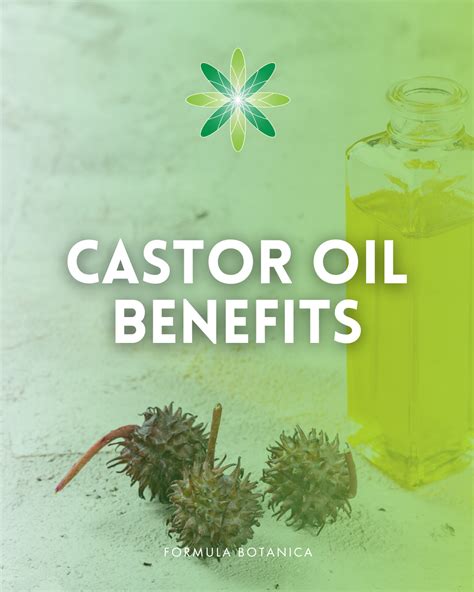 Surprising Benefits of Common Castor Oil - Formula Botanica