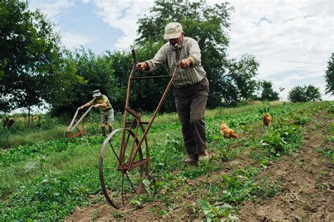 Old-world techniques — and elbow grease — on a Missouri organic farm ...