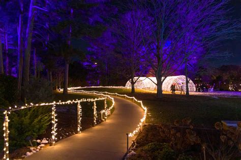 Enchanted winter wonderland with 1.5 km of lights opens near Toronto next week