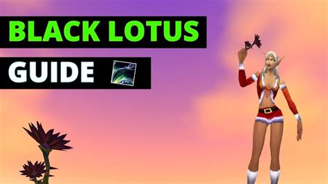 Wow classic era black lotus farm silithus guide - YouTube