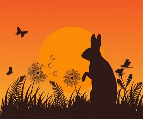 Sunset Rabbit Wildflower Meadow Free Stock Photo - Public Domain Pictures