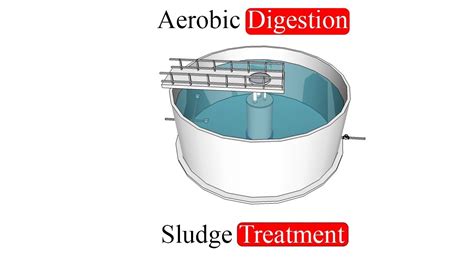 Aerobic Digestion - YouTube