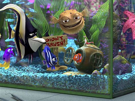 Finding nemo fish names in tank - wclery