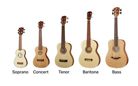 Ukulele Sizes | 5 Sizes of Ukulele | Yousician