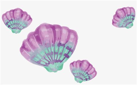 Painting Drawing Download Shells - Purple And Turquoise Shells PNG Image | Transparent PNG Free ...