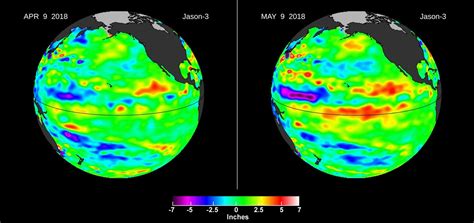 Downwelling Kelvin Wave in the Pacific