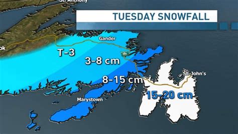 Winter storm reaches Avalon Peninsula - Newfoundland & Labrador - CBC News