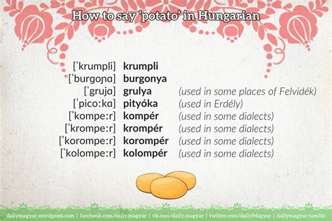 A peek into the beauty of the Hungarian grammar vol.2 – PHOTO GALLERY ...