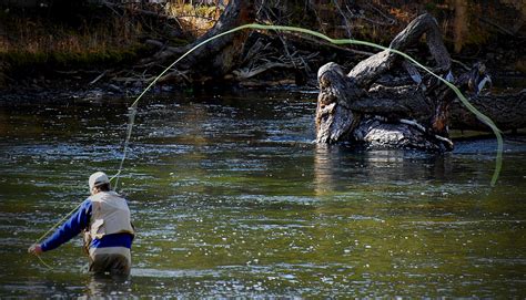 🔥 [120+] Free Trout Fishing Wallpapers Backgrounds | WallpaperSafari