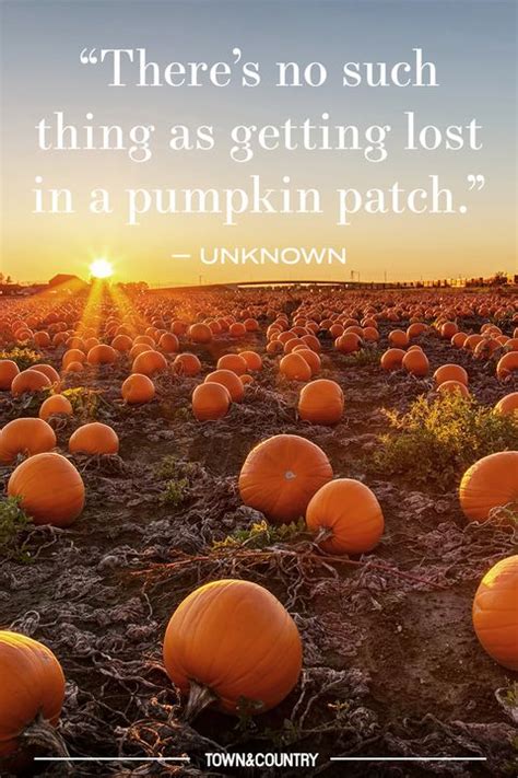 14 Pumpkin Patch Quotes for Fall - Best Pumpkin Quotes to Celebrate Autumn