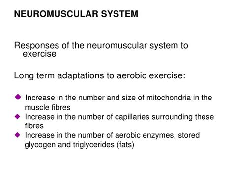 Neuromuscular System