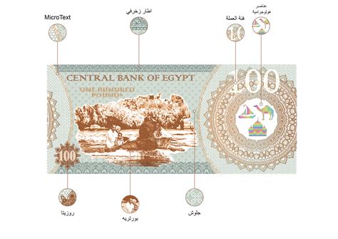 Polymer Banknote Design on Behance