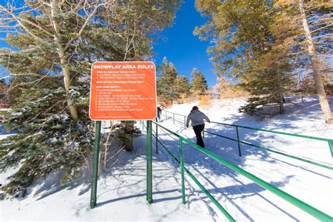 Capulin Snow Play Area at the Sandia Crest – The Lobo Life