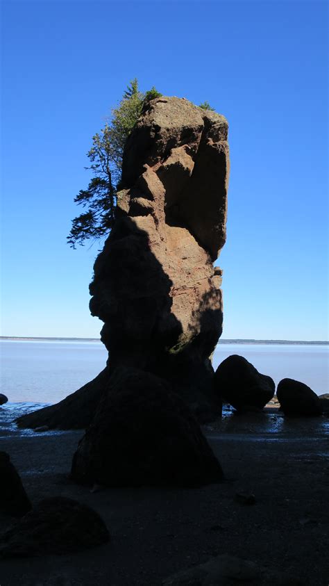 Hopewell Rocks, New Brunswick | Another Walk in the Park