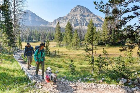 Visiting Uinta-Wasatch-Cache National Forest The Right Way | Visit Utah