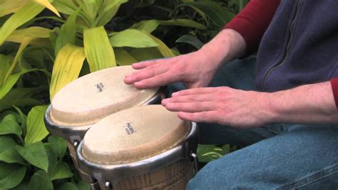 Bongo Drums For Toddlers | Kids Matttroy