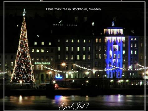 Christmas tree in Stockholm, Sweden