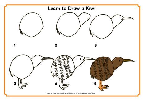 Learn to Draw a Kiwi