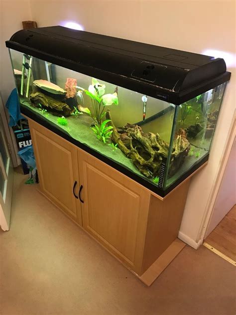 200ltr Fish tank set up | in Watford, Hertfordshire | Gumtree