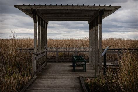 Beautiful View of of the Marsh and Boardwalk in Point Pelee Stock Photo - Image of point, reed ...