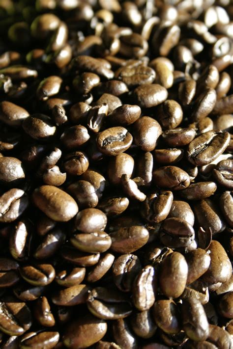 Free Images : cafe, aroma, bean, food, produce, vegetable, brown, drink ...