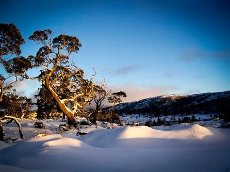 940+ Tasmania Winter Stock Photos, Pictures & Royalty-Free Images - iStock