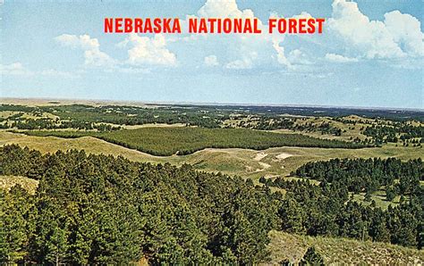 Postcard: Nebraska National Forest | Nebraska National Fores… | Flickr