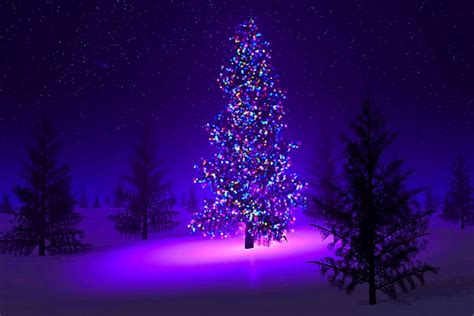 🔥 [50+] Purple Christmas Backgrounds | WallpaperSafari