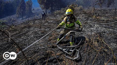 Wildfires rage near Bogota amid record-high temperatures – DW – 01/26/2024