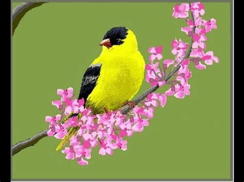 MS PAINT - YELLOW BIRD (SPEED PAINTING) | Painting, Bird, Yellow bird