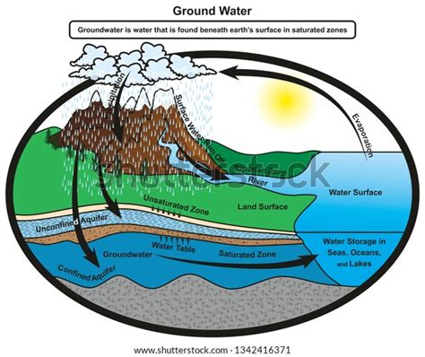 Groundwater Infographic Diagram Showing Cycle Water Stock Illustration 1342416371 | Shutterstock