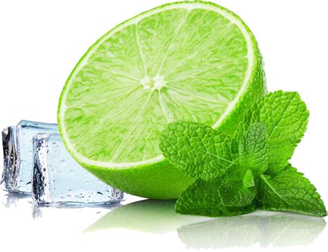 Lime Mint Png - Original Size PNG Image - PNGJoy