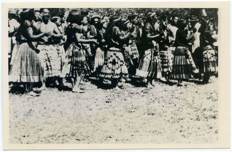 View, Māori Cultural Group - Whakatāne Museum Collections & Research