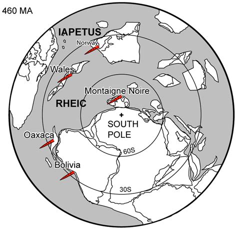 Early Ordovician cephalopod occurrences in distal and deep marine... | Download Scientific Diagram