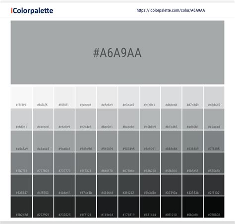 Pantone Silver C Color | Hex color Code #A6A9AA information | Hsl | Rgb | Pantone