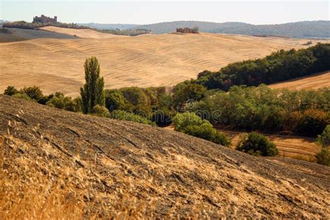 Crete senesi stock image. Image of idyllic, beauty, landscape - 120203447