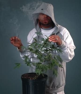 Puff, Puff, PASS! 10 Rappers Who Have Quit Smoking Weed