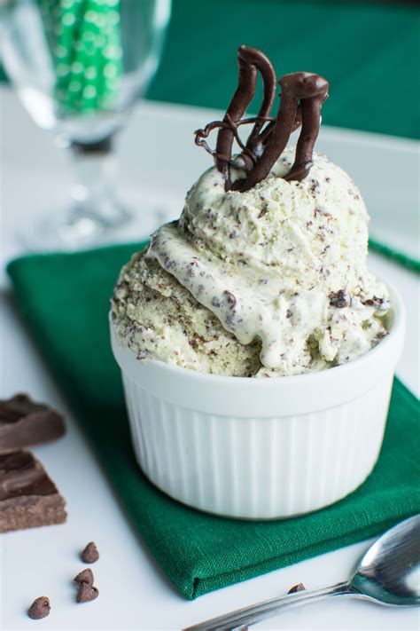 Mint Chocolate Stracciatella Ice Cream - Oh Sweet Basil