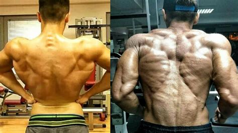 CRAZY SARMS CYCLE TRANSFORMATION - Before And After Pictures