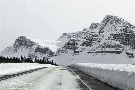 Tips For Driving The Icefields Parkway | Canada travel, Vacation goals, Icefields parkway