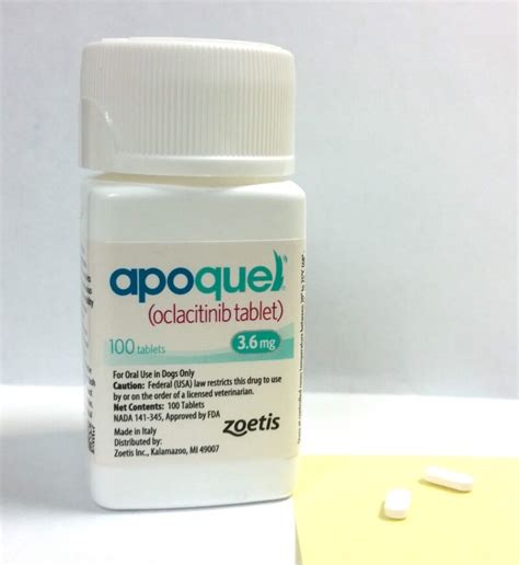 Apoquel Review – UPDATED 2020 – Side Effects, Dosing Chart & More!