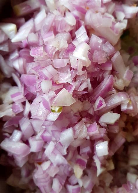 Diced Onions In Vinegar Served On Plate Stock Photo - Image of served ...