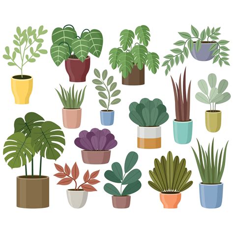 House plants clipart. Gardening. Vector houseplant graphic. | Etsy